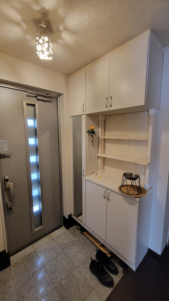 ���̑����� -